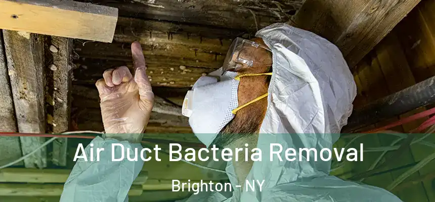  Air Duct Bacteria Removal Brighton - NY