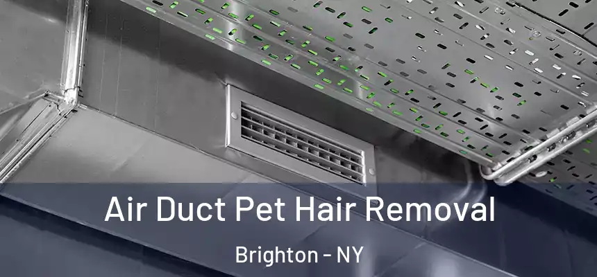  Air Duct Pet Hair Removal Brighton - NY