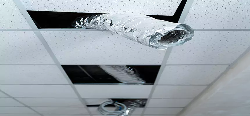 Affordable HVAC Sanitizing After Pest Removal in Brighton