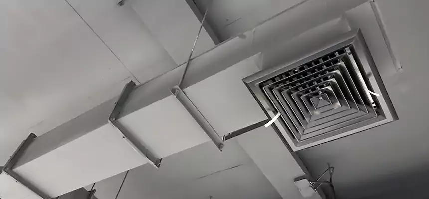 Our Rodent Droppings In Vents Services in Brighton, NY