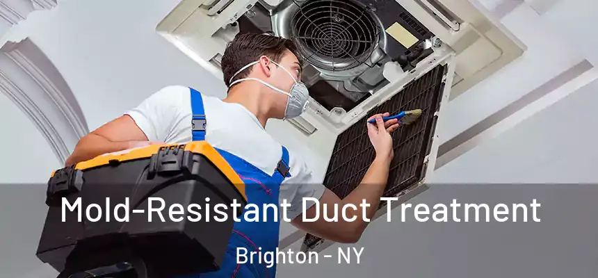  Mold-Resistant Duct Treatment Brighton - NY