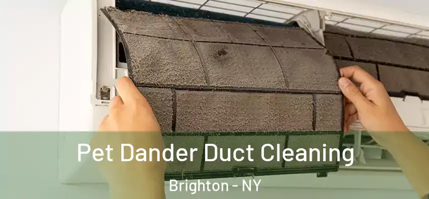 Pet Dander Duct Cleaning Brighton - NY