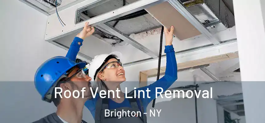  Roof Vent Lint Removal Brighton - NY