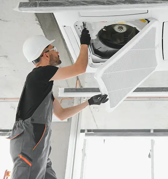 About Air Duct Rodent Removal in Brighton, NY