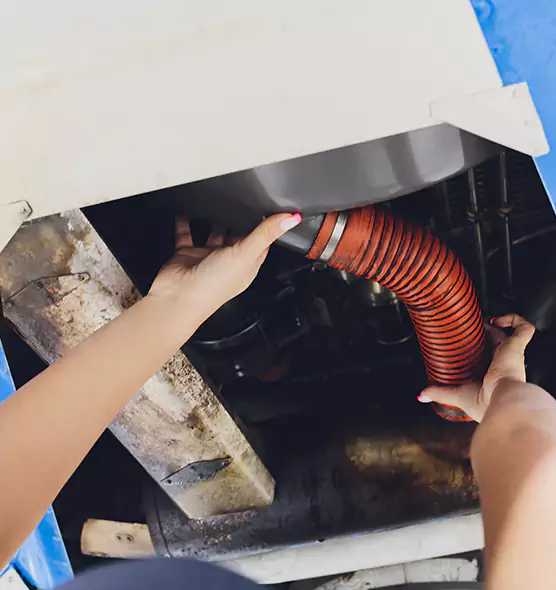 About Air Duct Virus Disinfection in Brighton, NY
