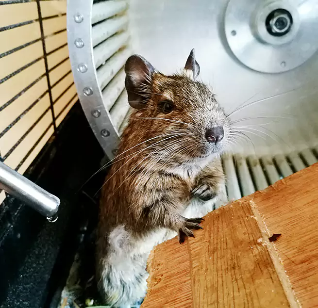 Why Homeowners & Businesses Trust Us Brighton, NY?