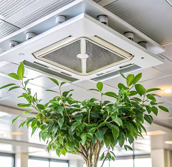 Why Homeowners & Businesses Trust Us in Brighton, NY