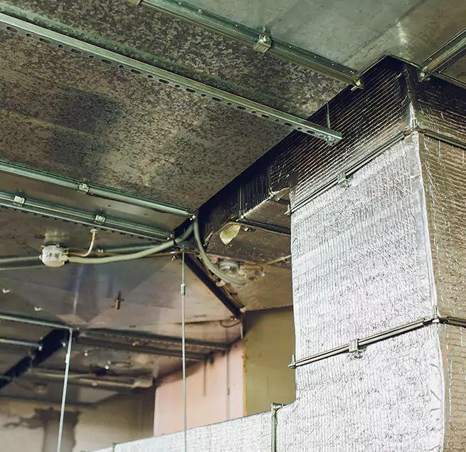 Why Homeowners & Businesses Trust Us in Brighton, NY?