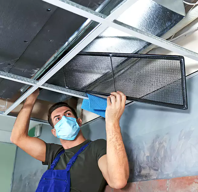 Why Homeowners Businesses Trust Us in Brighton, NY